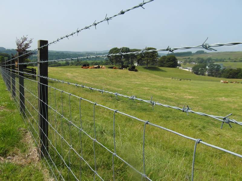 Field Barbed Wire Fence